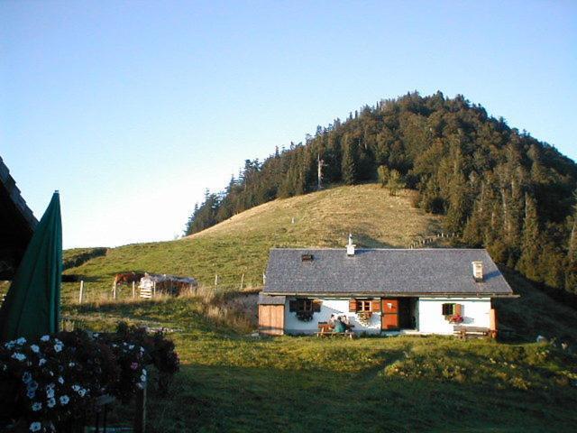 Appartements Ferienwohnungen Alpenblick Faistenau Exterior photo